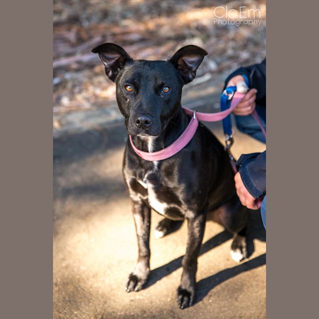 Photo of Tango