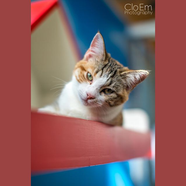 Photo of Lisa