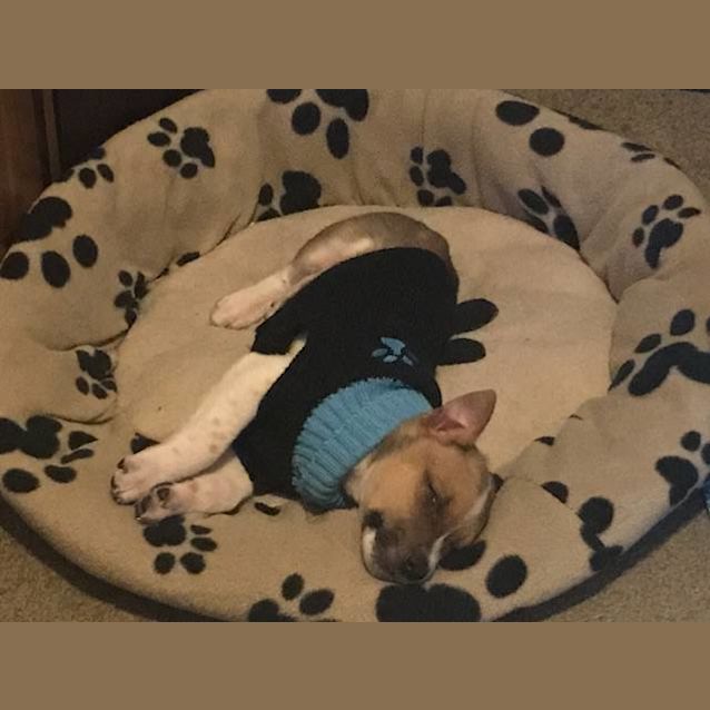 Photo of Baby Baxter