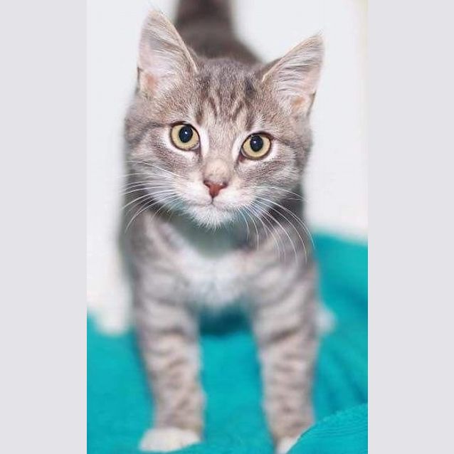 Photo of Bill (Located In Newport)