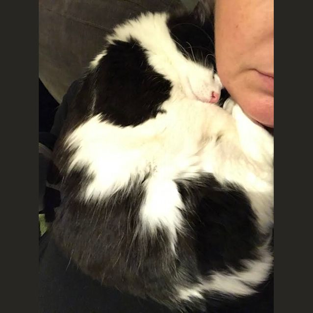 Photo of Yumi (Located In Heidelberg)