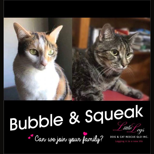 Photo of Bubble And Squeak