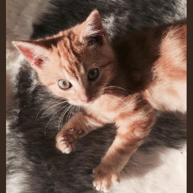 Photo of Wink (Located In Footscray)