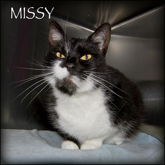 Photo of Missy