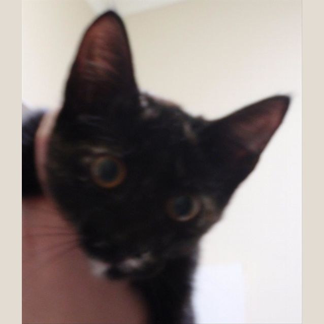 Photo of Belle