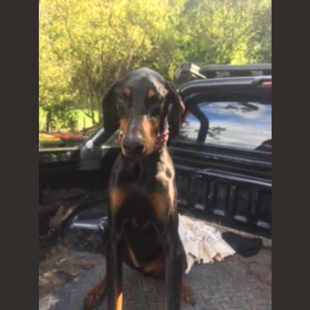 Photo of Cassidy