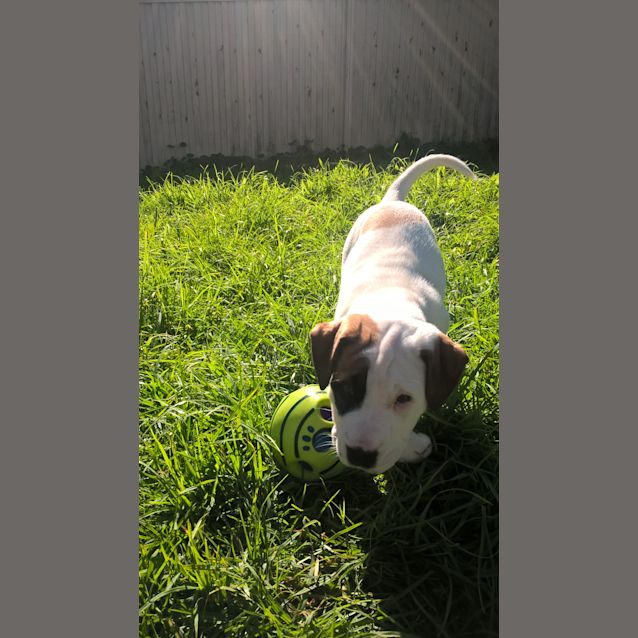Photo of Bonnie