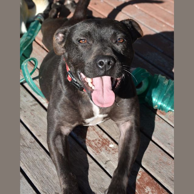 Photo of Matilda
