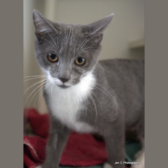 Photo of Calvin