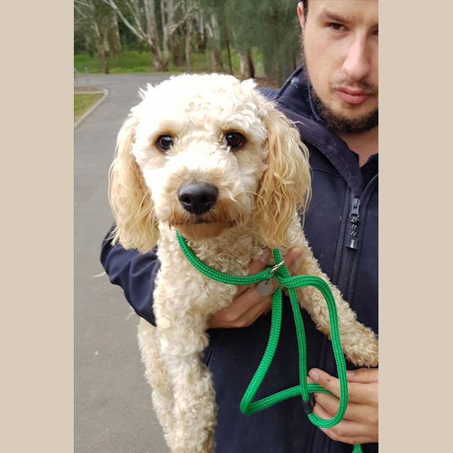 Photo of Gus