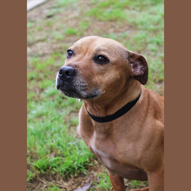 Photo of Clio