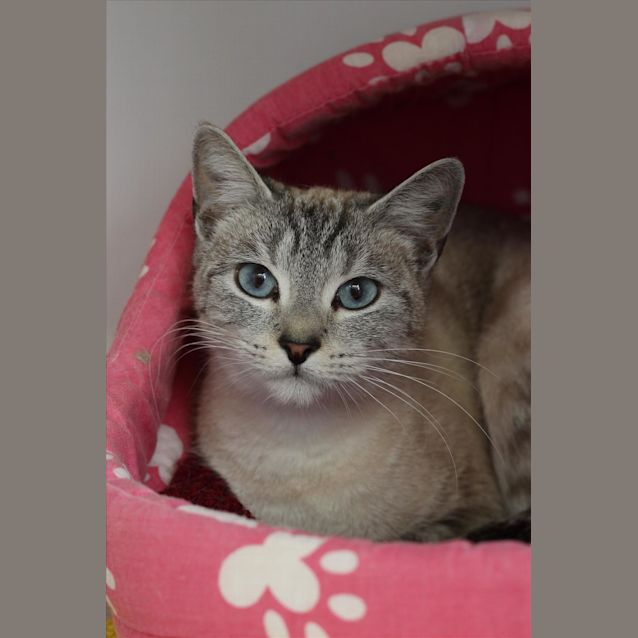 Photo of Princess