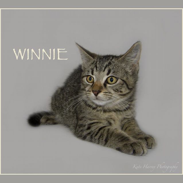 Photo of Winnie