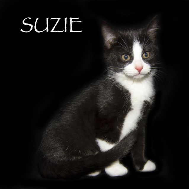 Photo of Suzie