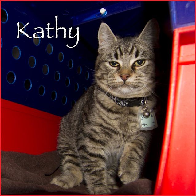 Photo of Kathy