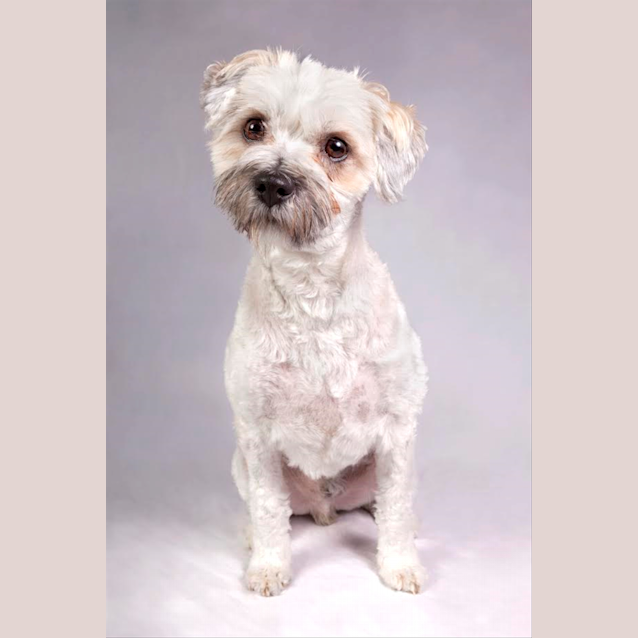 Photo of Hershey