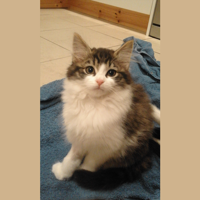 Photo of Dottie