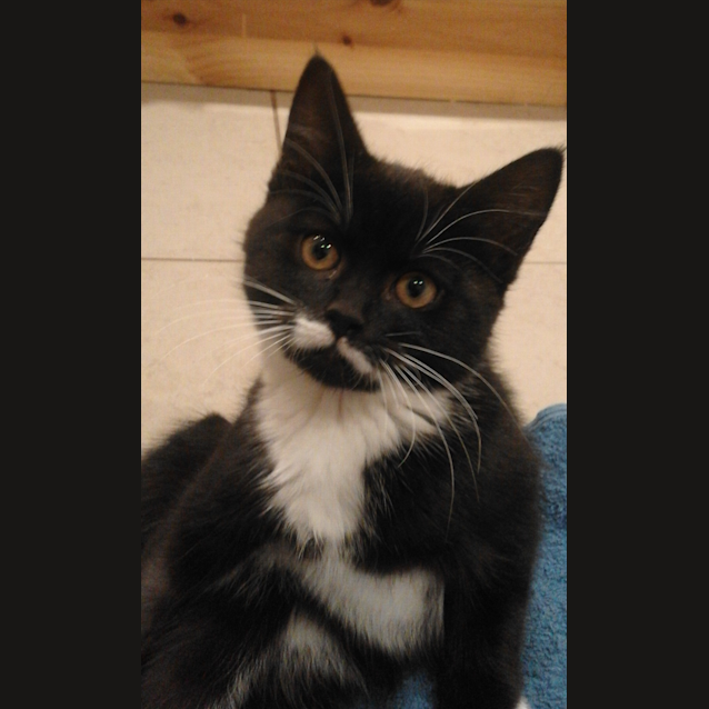 Photo of Tabitha