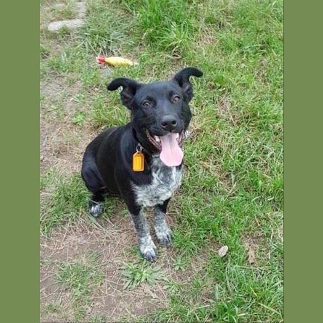 Photo of Noddy