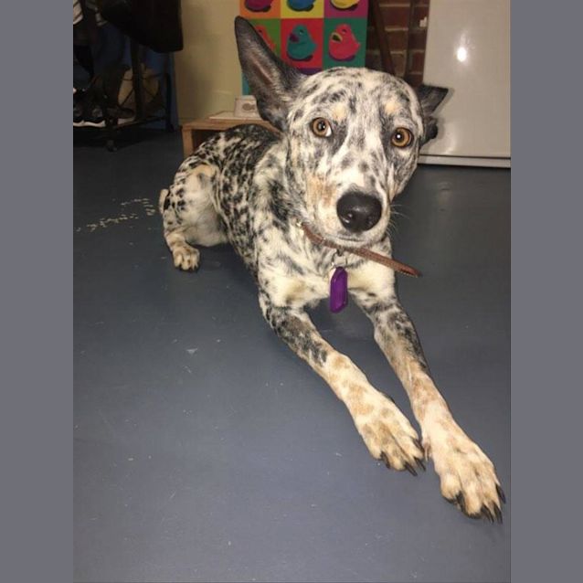 Photo of Sasha