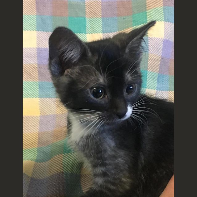 Photo of Lil