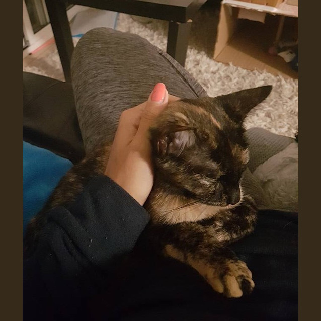 Photo of Echo