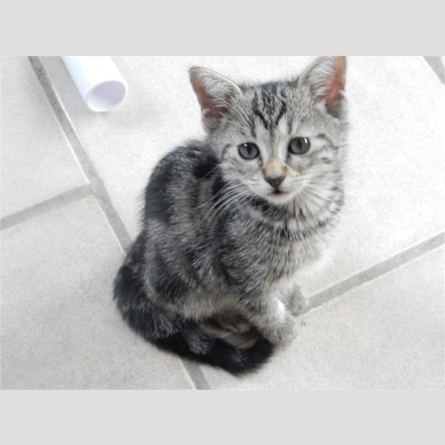 Photo of Kiki