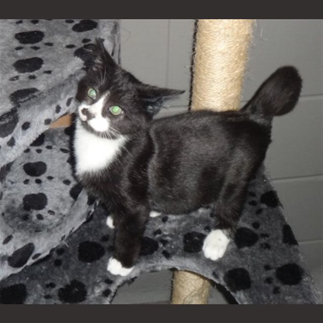 Photo of Louie