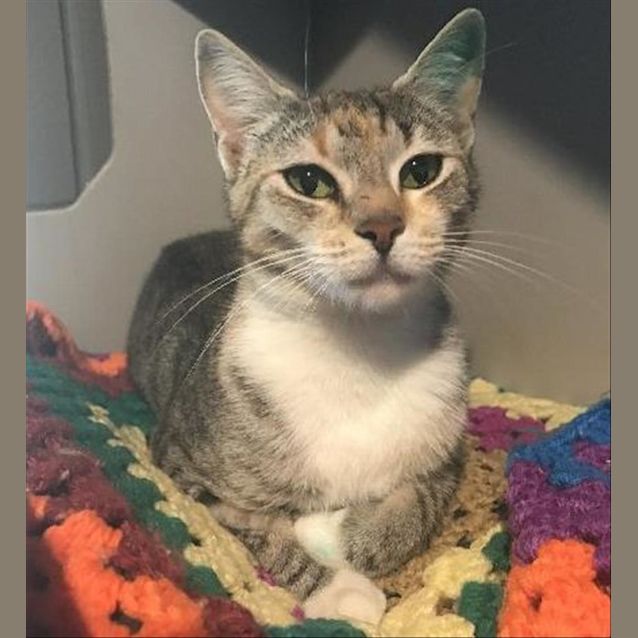 Photo of Tilly