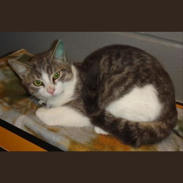 Photo of Monty
