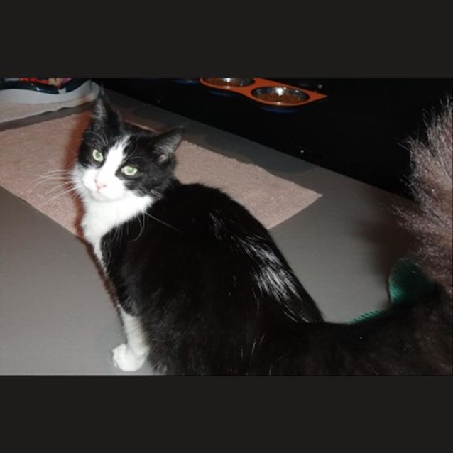 Photo of Petey
