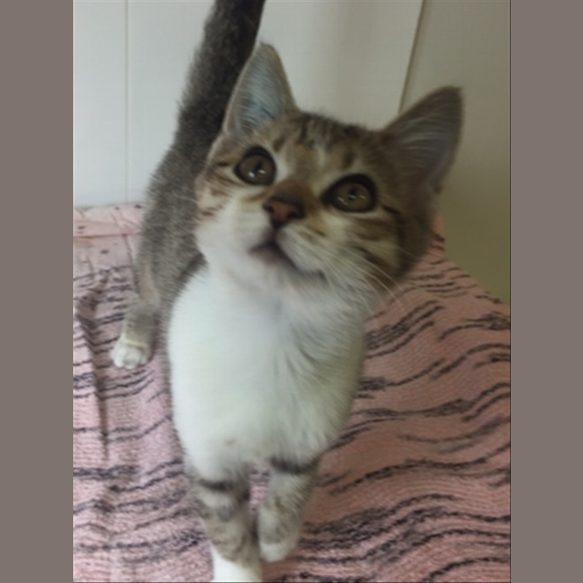 Photo of Bonita