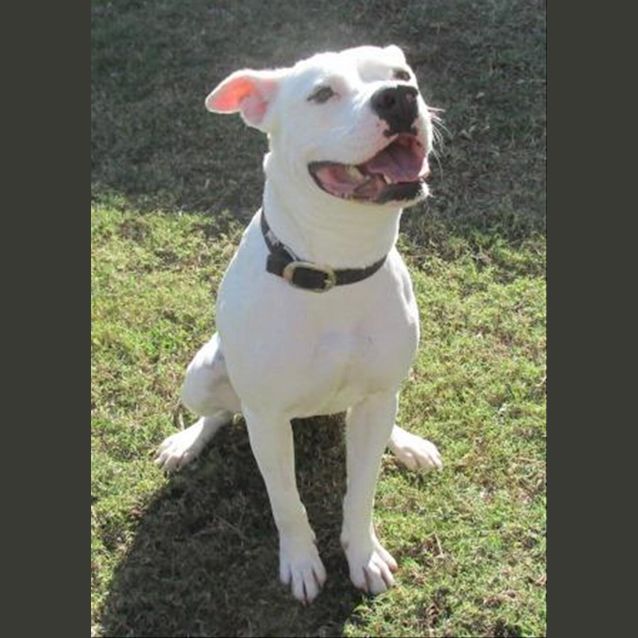 Photo of Sally