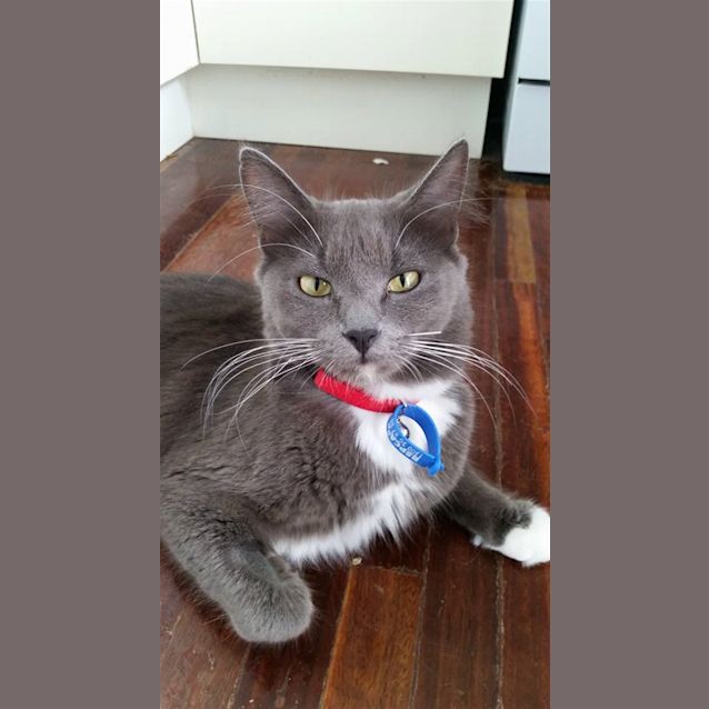 Photo of Sadie
