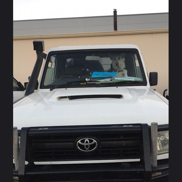 Photo of Kippa Dl1619