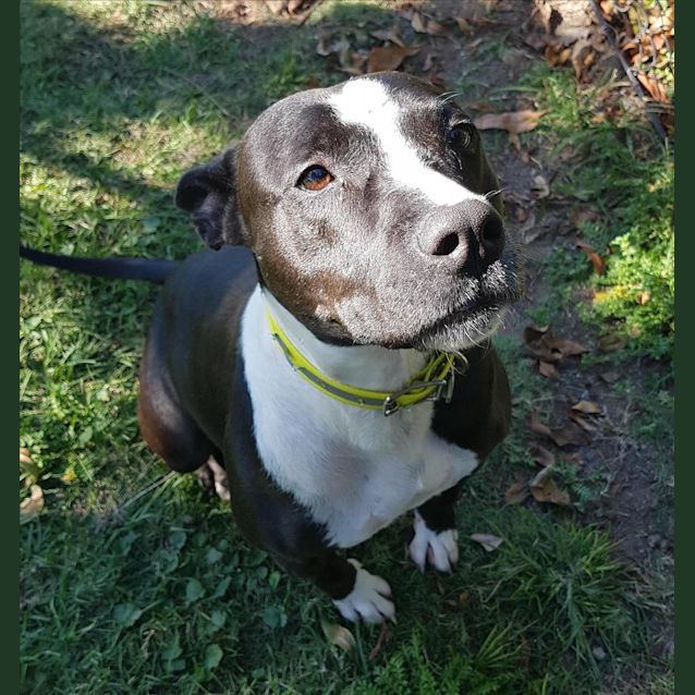 Photo of Lexi