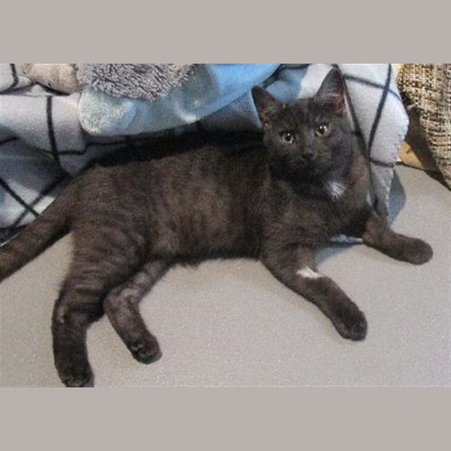 Photo of Sugar