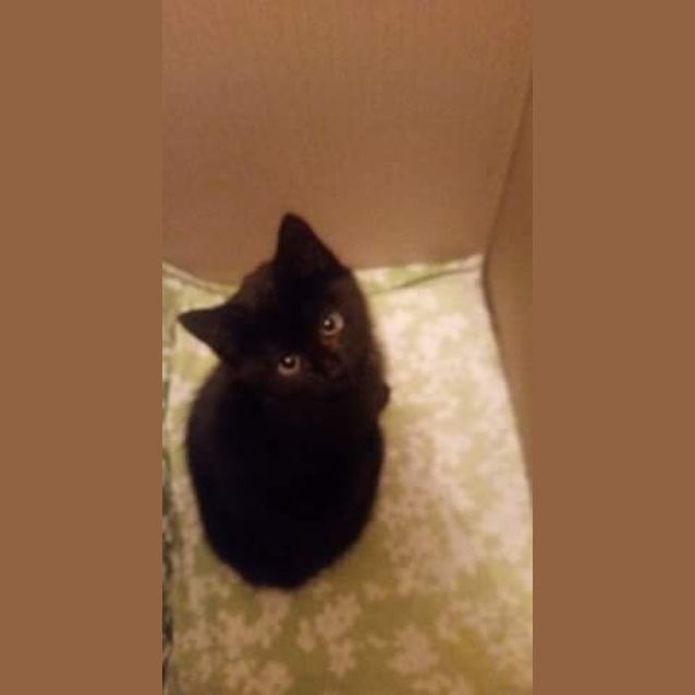 Photo of Ace