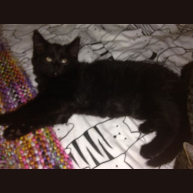 Photo of Barnaby