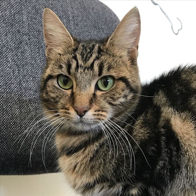 Photo of Maggie