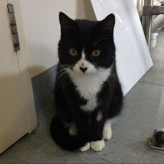 Photo of Beanie
