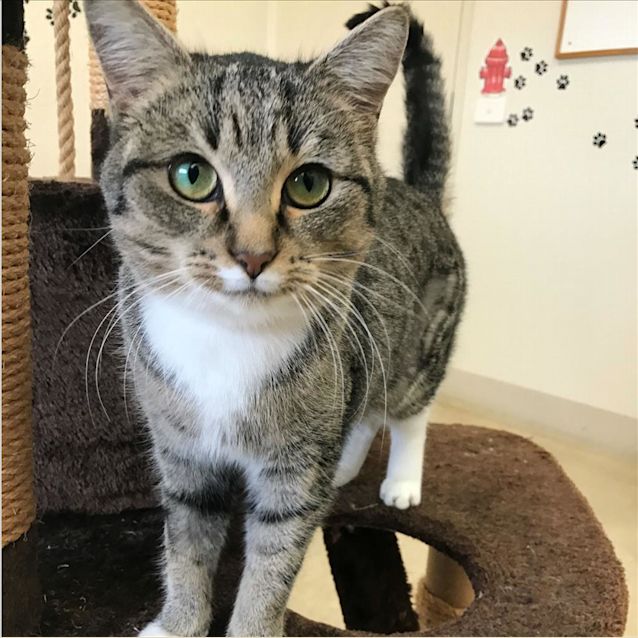 Photo of Cherie