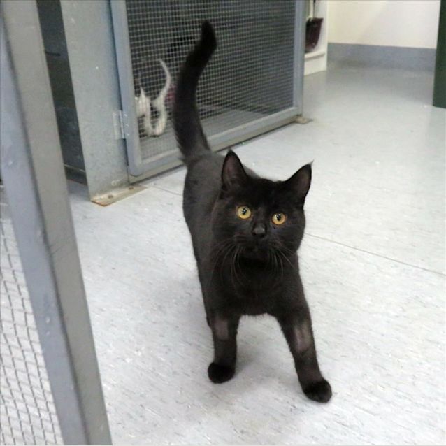 Photo of Zephyr