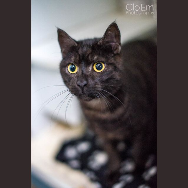 Photo of Gheera