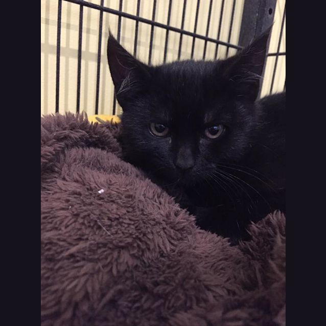 Photo of Ernie