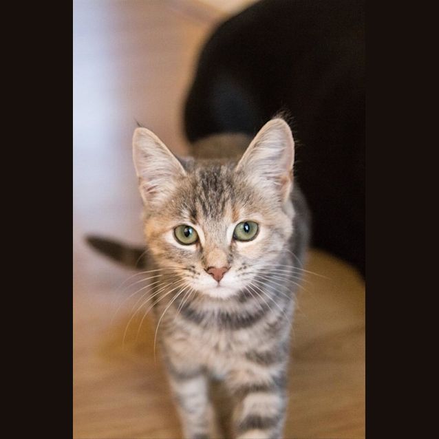 Photo of Princess