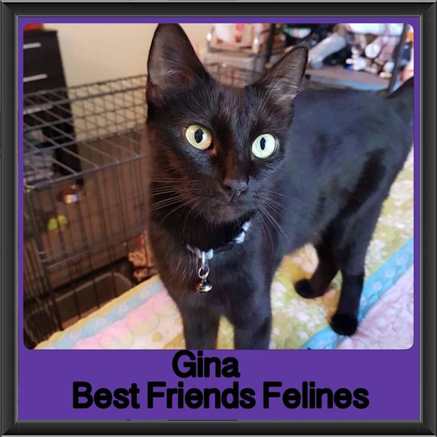 Photo of Gina