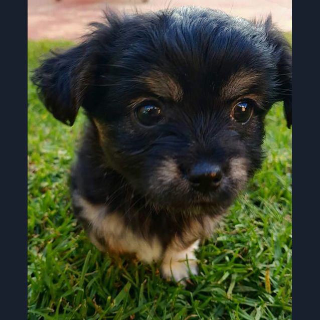 Photo of Captain
