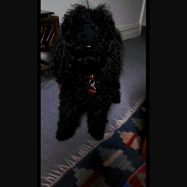 Photo of Dior ... Sweetest Girl