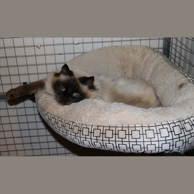 Photo of Cindy E1418